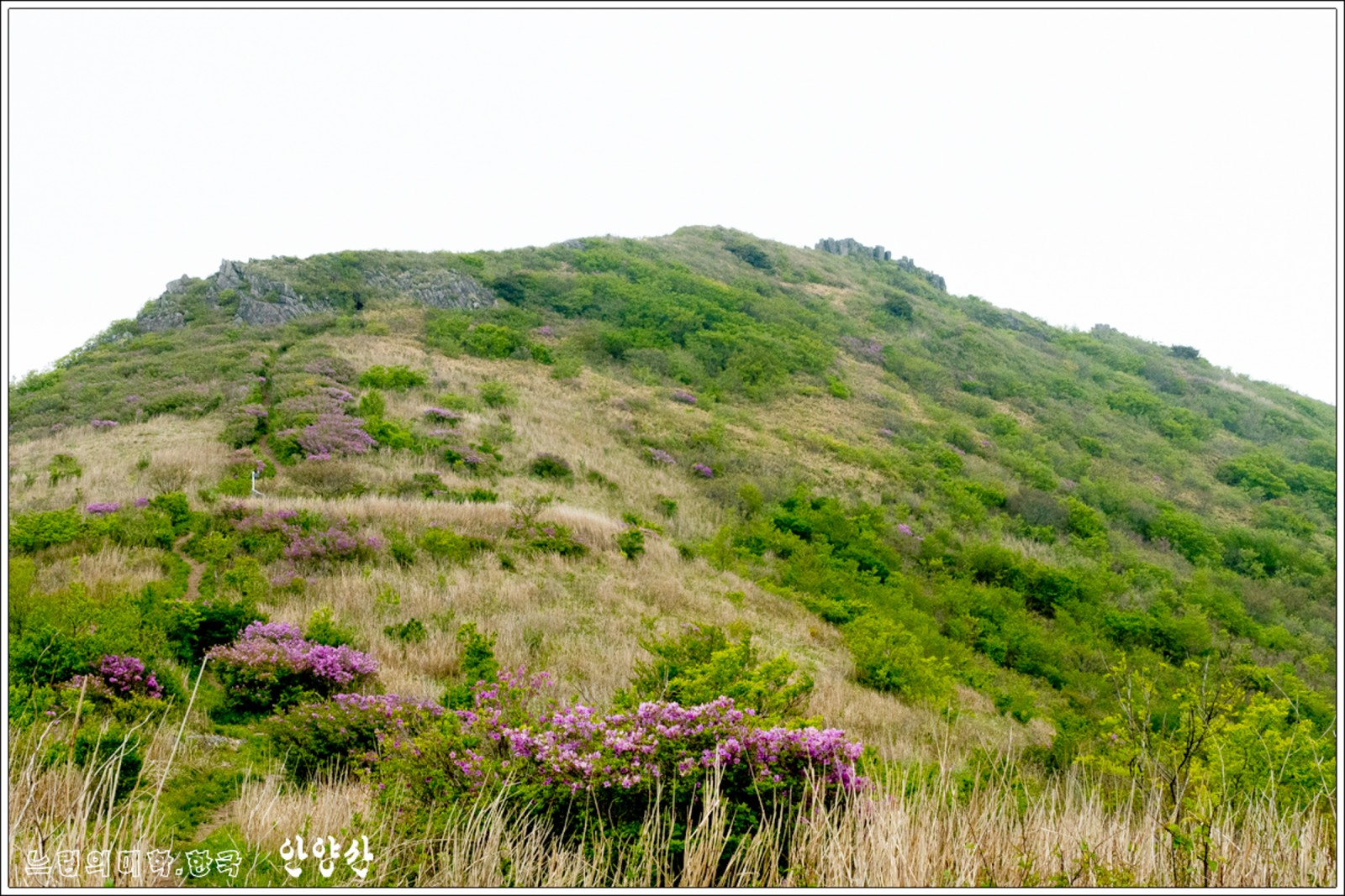 ahnyangsan23.jpg